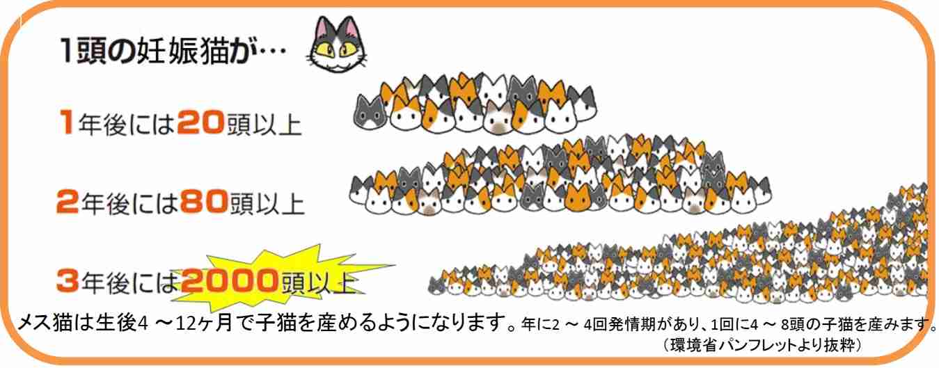 犬猫殺処分4年連続ゼロ　奈良市　週末に譲渡会、ボランティア委託…トリミング、しつけ訓練でアピールも