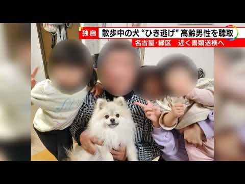 6歳女の子と散歩中…愛犬ポメラニアンが車にはねられ死んだ事故 走り去ったとみられる高齢男性を書類送検へ - YouTube
