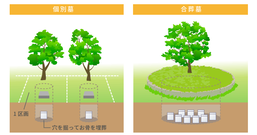 「墓じまい」後に用意する自分自身の墓　「持たない選択肢」として人気を集める樹木葬のメリットは