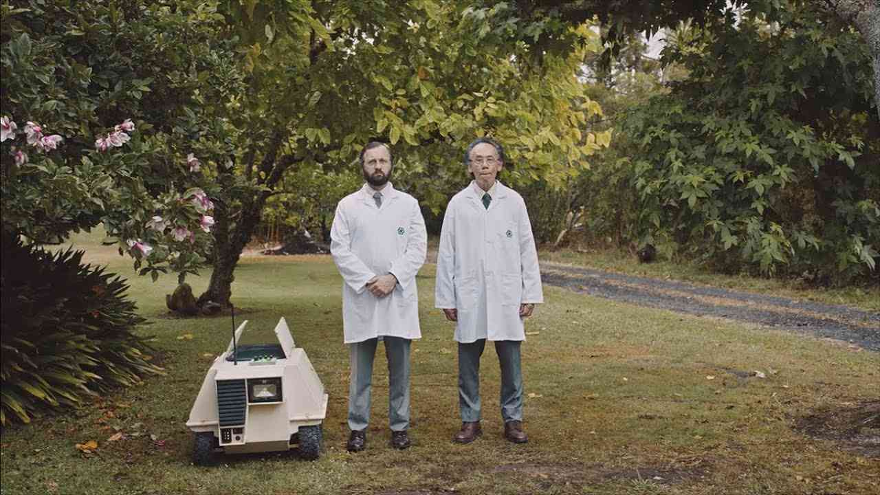 So riecht das Frühjahr | HORNBACH - YouTube