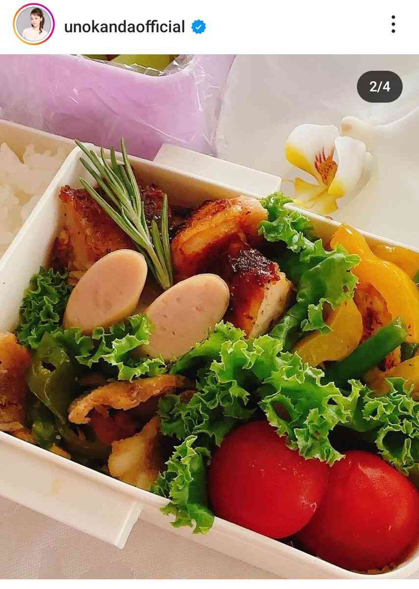 神田うの、新学期スタートの１１歳長女に作った弁当が見事！おかずギッシリ＆花を添えて「仕上がりました」