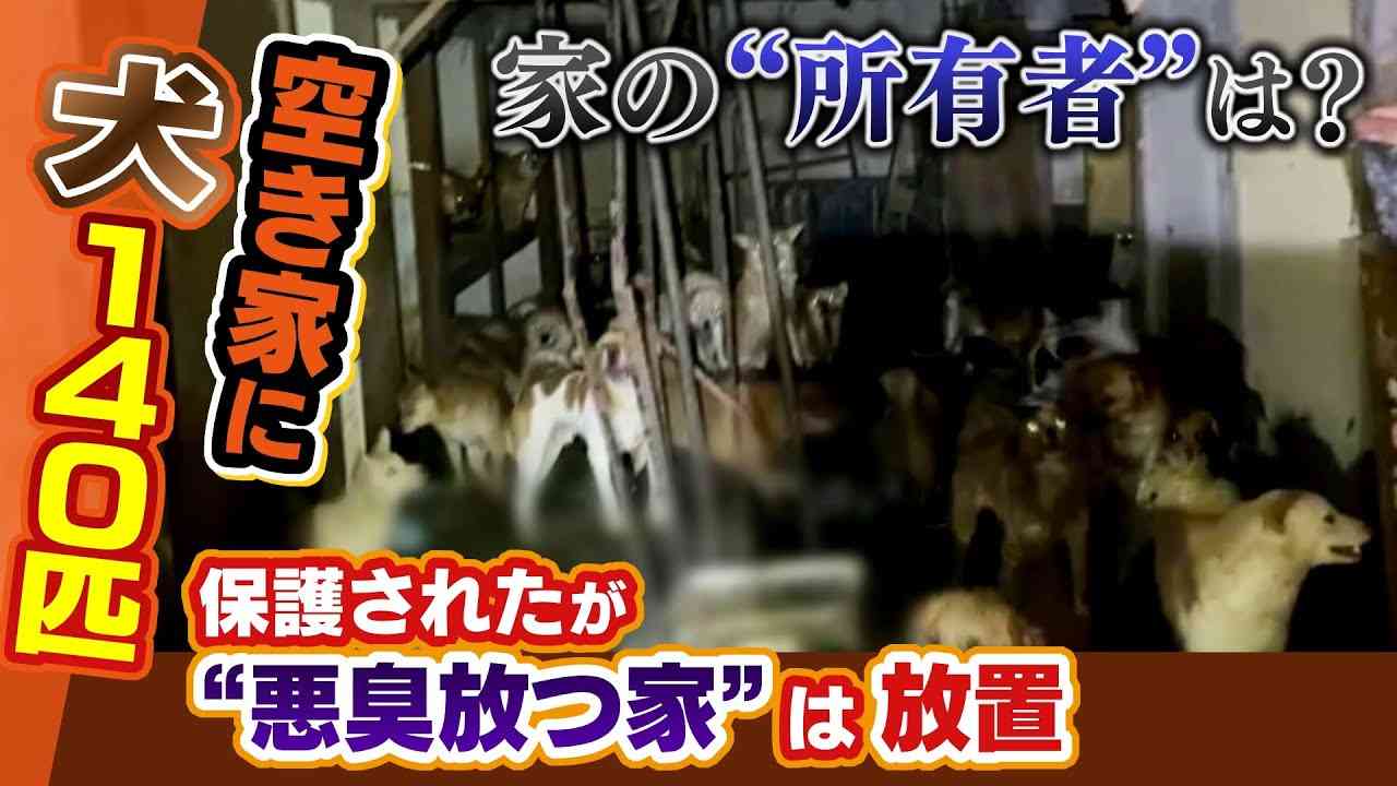 【特集】“空き家”で飼われていた「140匹の犬」犬は保護されいなくなったが...家はその後も１年近く放置されて“悪臭漂う”　住民憤懣【徹底取材憤マン】（2021年5月3日） - YouTube