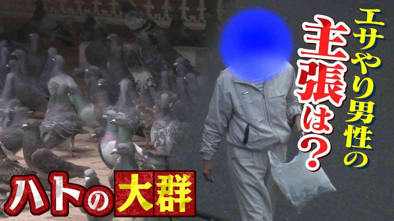 【特集】『ハトにエサやり』の現場は今...「やめる」と話していたエサを与えていた男性はどうなった？【徹底取材憤マン】(2021年11月17日) - YouTube