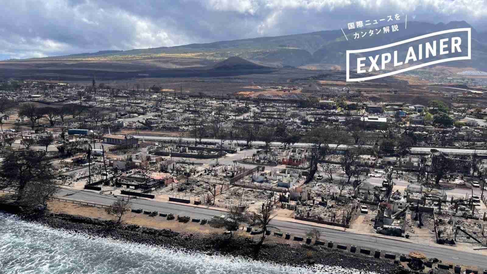 ハワイ・マウイ島の山火事が急拡大した原因は「外来種の草」（クーリエ・ジャポン） - Yahoo!ニュース