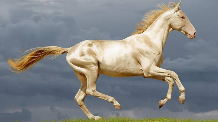 「ああ、この馬主ガル民だな…」とバレそうな競走馬の名前って?Part6