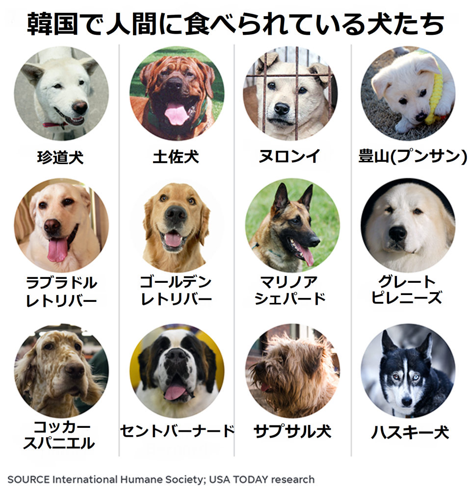 【閲覧注意かも？】衝撃を受けた画像・GIFを貼るトピ