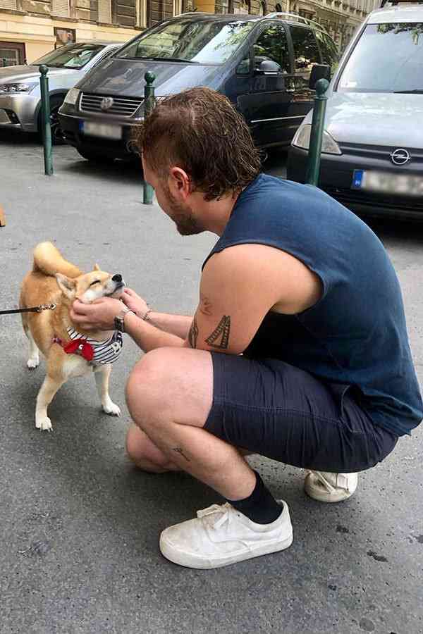 世界陸上で柴犬が注目の的に! いっせいにカメラを向けられる姿に「ハリウッドスターみたい」の声