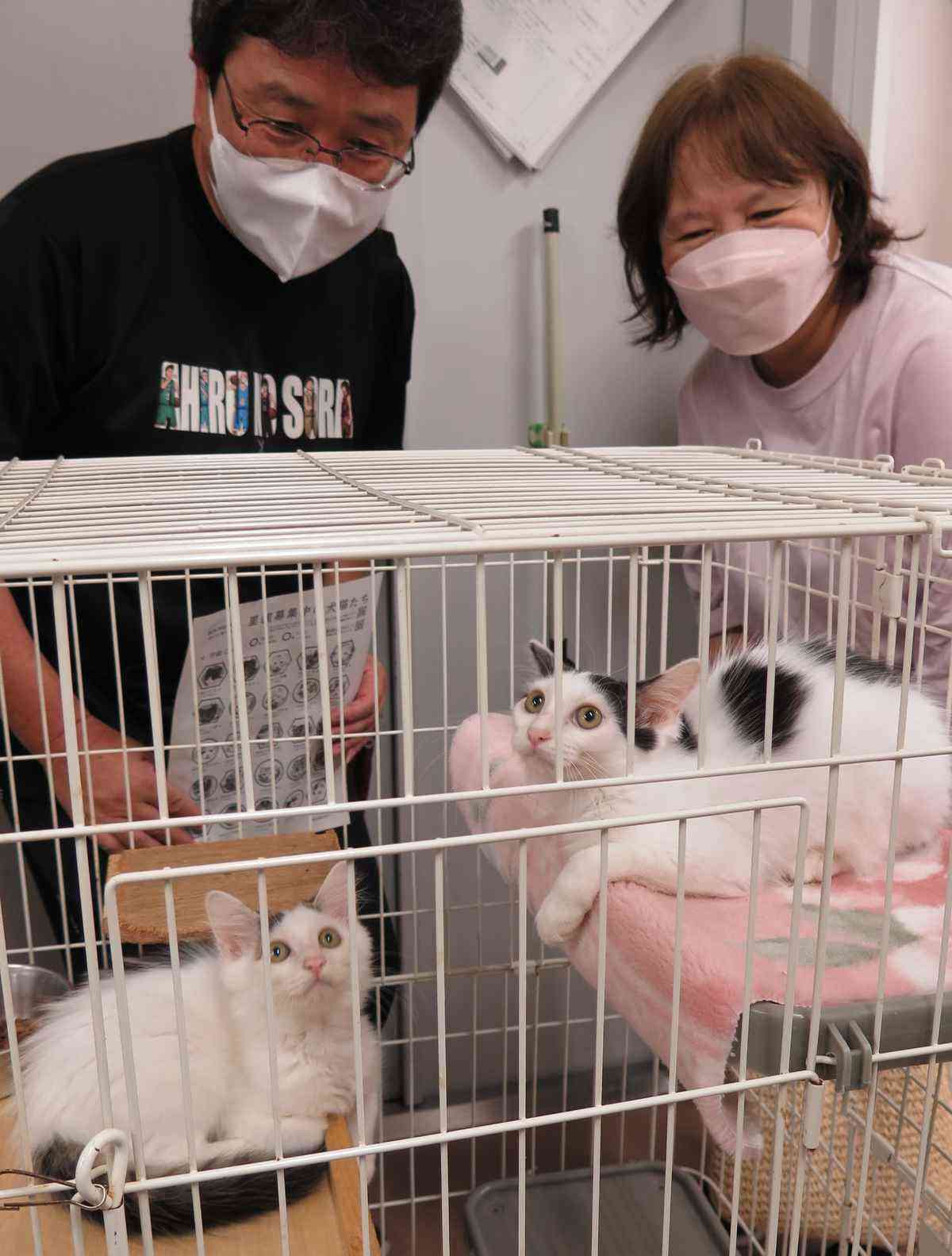 犬猫殺処分4年連続ゼロ　奈良市　週末に譲渡会、ボランティア委託…トリミング、しつけ訓練でアピールも