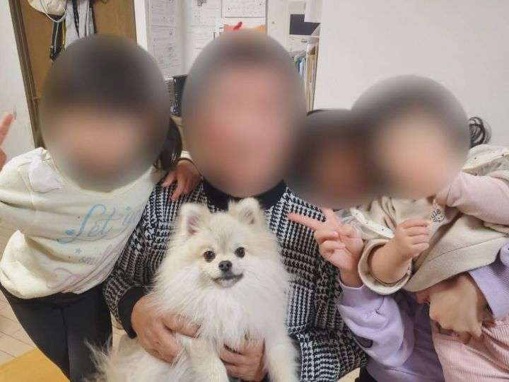6歳女の子と散歩中…愛犬ポメラニアンが車にはねられ死んだ事故 走り去ったとみられる高齢男性を書類送検へ | 東海テレビNEWS