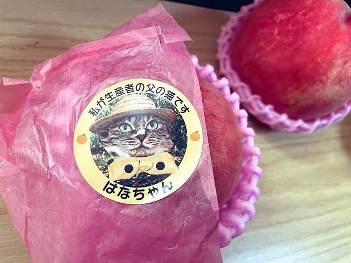 “イケメンすぎる”たまご農家が大バズり　推し活ブームは生産者にも「作り手がかっこいいから買う」女性が急増　JAは困惑気味