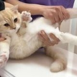 >>2062 | ガールズちゃんねる - Girls Channel -
