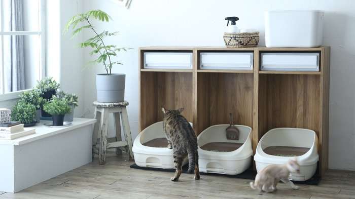 ペットのトイレ家のどこに置いてる？