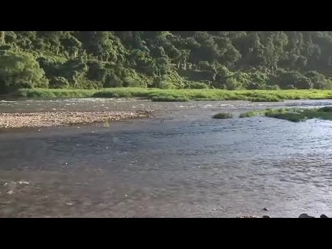 【速報】3歳の男の子が川で流されたか「浮き輪付けたまま流され姿が見えなくなった」と通報　京都・木津川 (2023/08/11 16:45) - YouTube