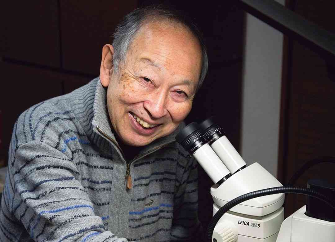 オスの晩年が悲惨なのは人間とライオンだ  複数のコミュニティがあれば安泰 (2ページ目) | PRESIDENT Online（プレジデントオンライン）