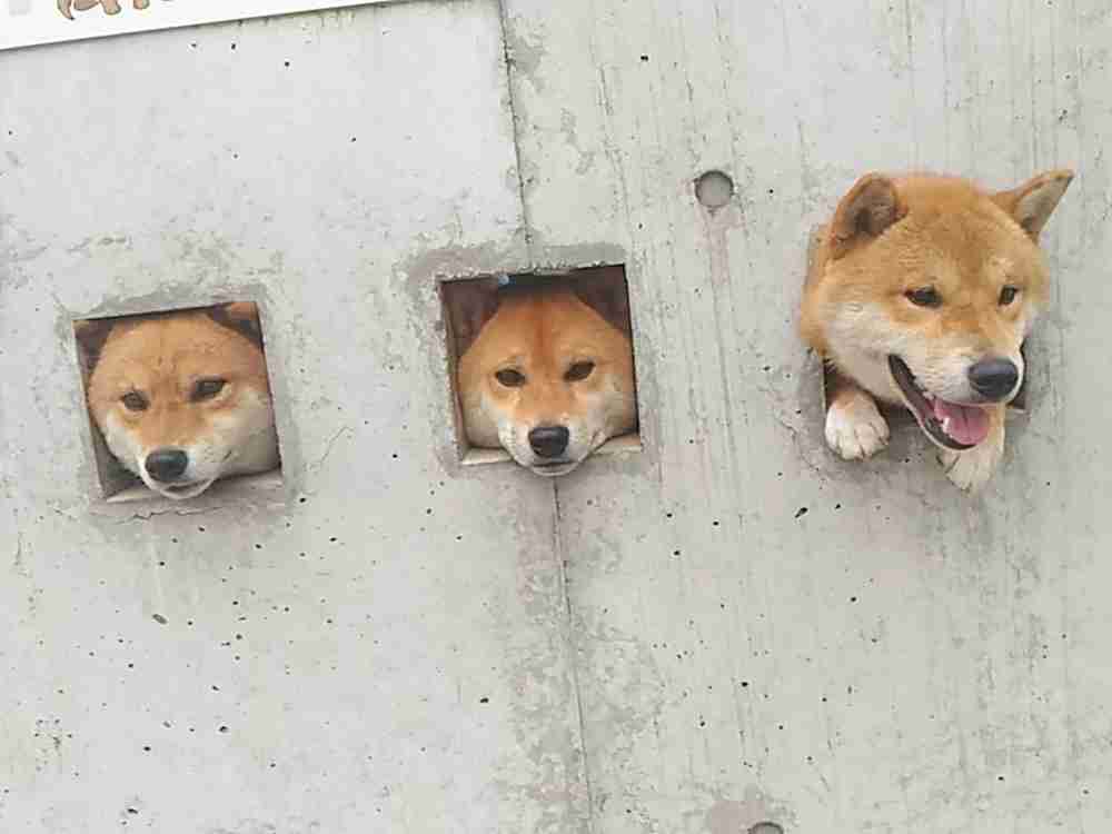 😊みんなと画像で会話したい👍