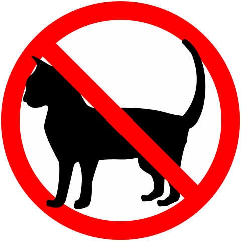 猫が苦手な人、嫌いな人集まれ～part7