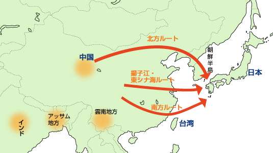 「僕はジャニーさんに5万円の領収書を書かされた」ジャニーズ性加害に“実名・顔出し”で新証言