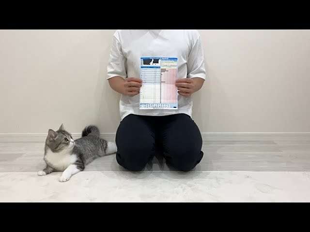猫YouTuber「もちまる日記」、猫アレルギーが判明