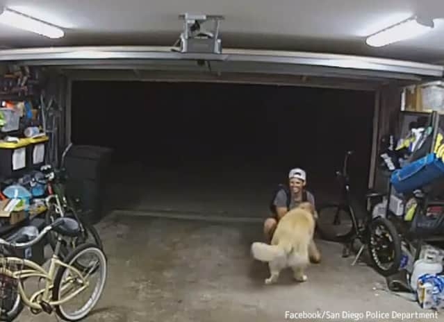 自転車を盗んでいる最中に犬にじゃれつかれ…中断して犬を撫でまくったため防犯カメラにバッチリ映った窃盗犯
