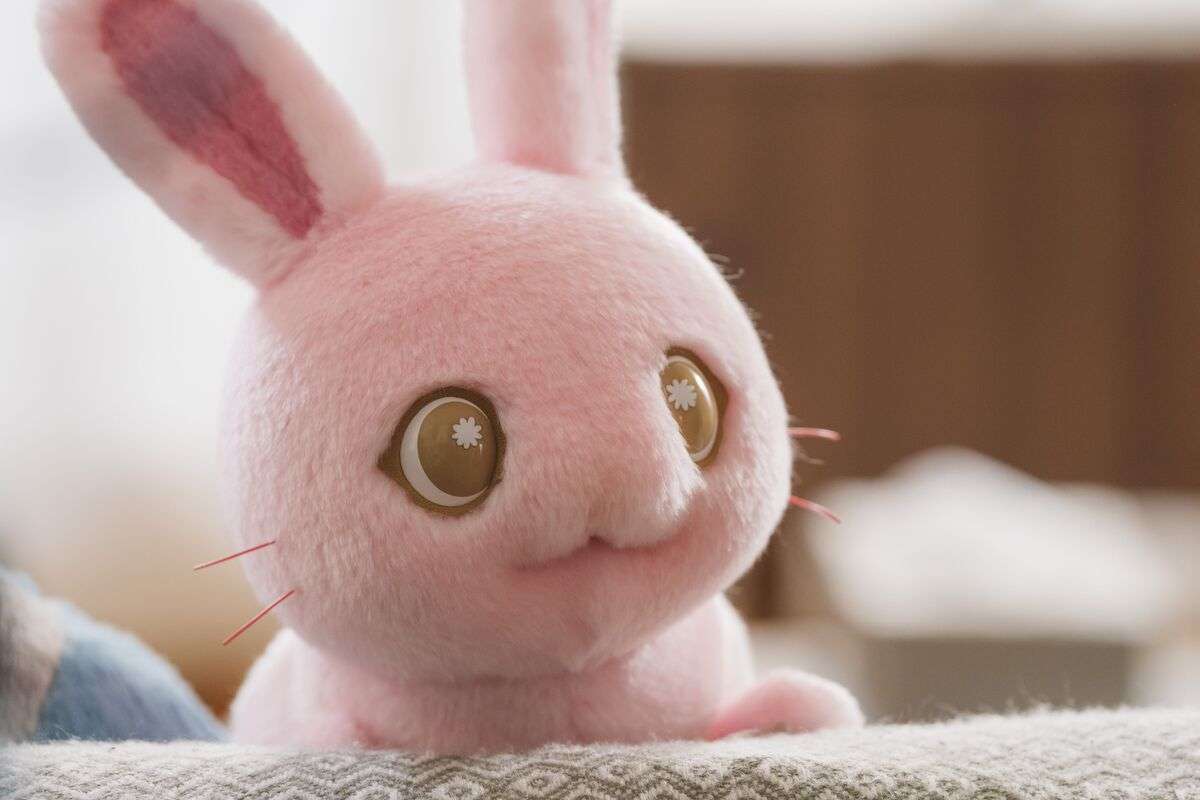 サンリオ、初の実写ドラマ「ぼさにまる」の配信発表 主人公・さくらの声は上白石萌音「にやけ止まらない」