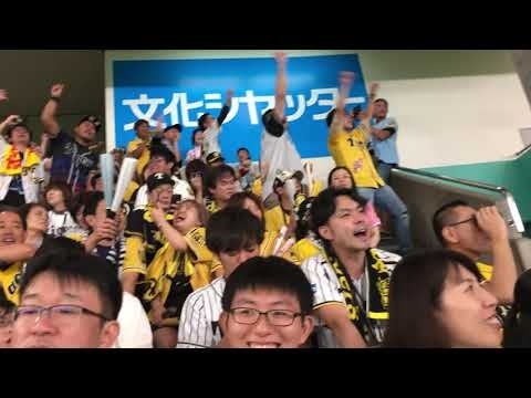 【阪神タイガースファン】東京ドーム『商魂込めて』 - YouTube