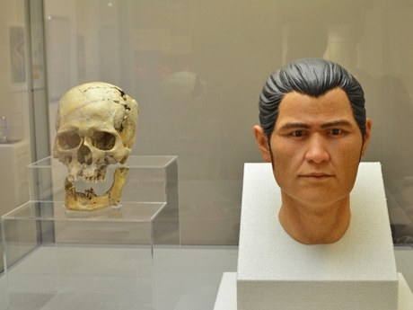 新宿縄文人の人骨発見から2年余り、一般公開へ-新宿歴史博物館 - 市ケ谷経済新聞