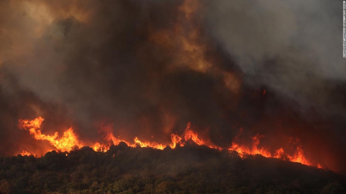 ギリシャ警察、放火の疑いで７９人逮捕　ＥＵ域内で過去最大規模の山火事続く（CNN.co.jp） - Yahoo!ニュース
