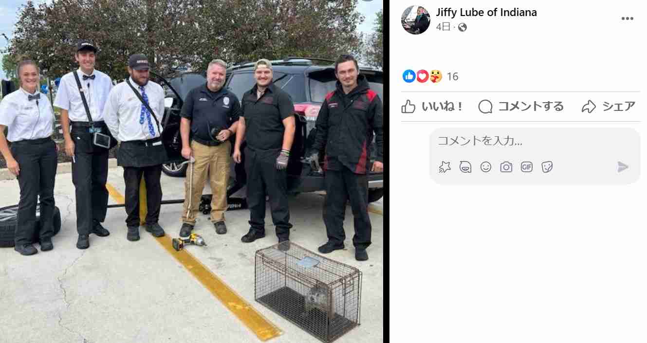 洗車に来た車の内部で見つかった「可愛いけど怒っていた」予想外の動物にスタッフ仰天(米) ガールズちゃんねる Girls Channel