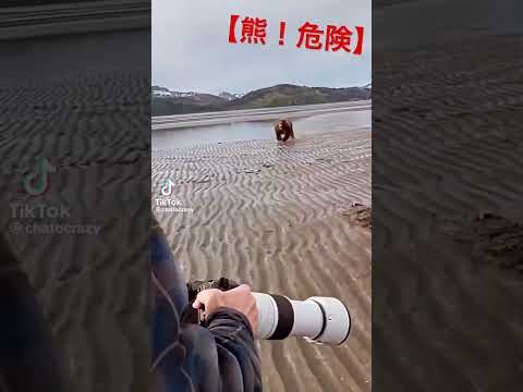 【ヤバイ】猛スピードで向かってくる熊を威嚇で追い払うことに成功！ - YouTube