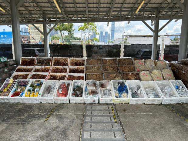 香港から日本の水産物密輸　中国へ、6人逮捕 - ライブドアニュース