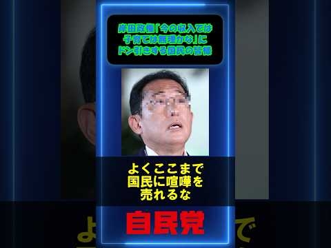 岸田政権｢今の収入では子育ては無理かな｣にドン引きする国民の皆様の反応集 #岸田文雄 #自民党 #増税 - YouTube
