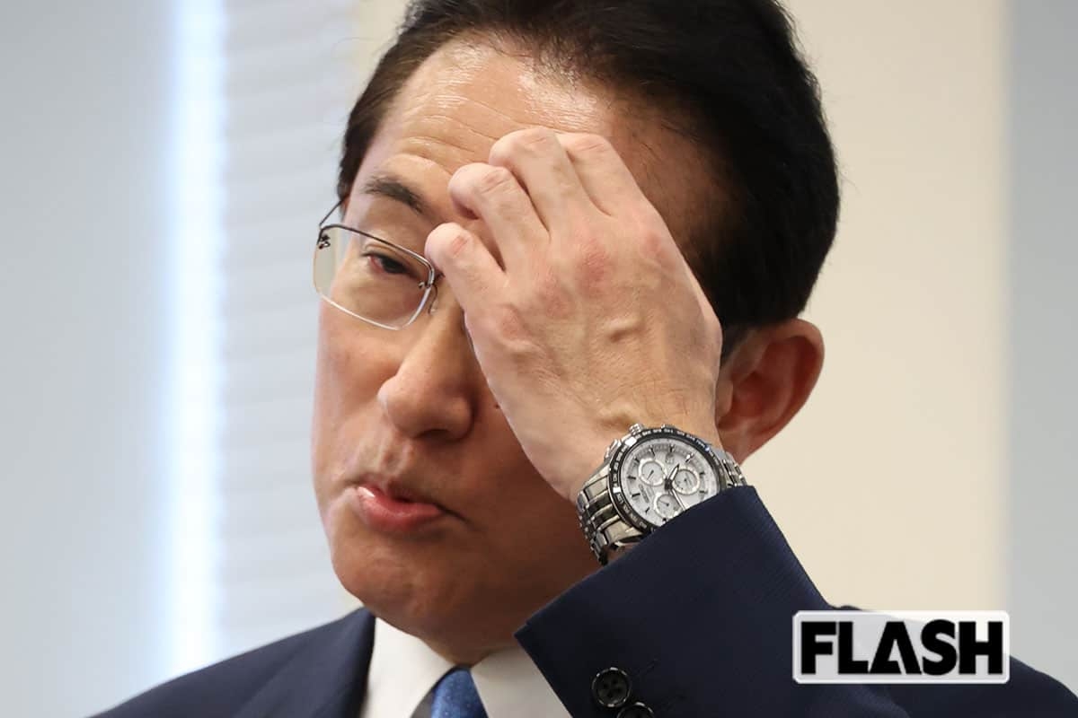 岸田首相、外国人に手厚い政策は弟のため!?…実弟の会社の業務は「外国人採用支援」…利益誘導はあるのか | Smart FLASH/スマフラ[光文社週刊誌]