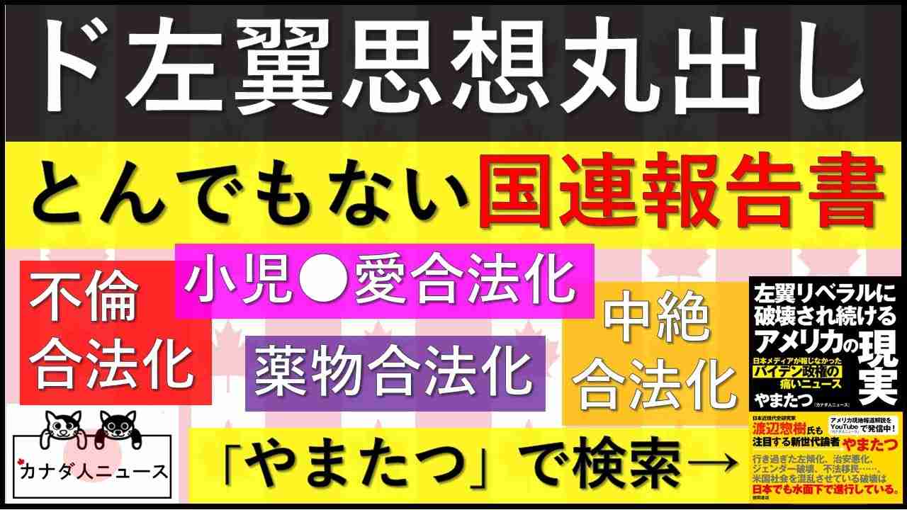 4.19 ド左翼活動家のような国連報告書 - YouTube
