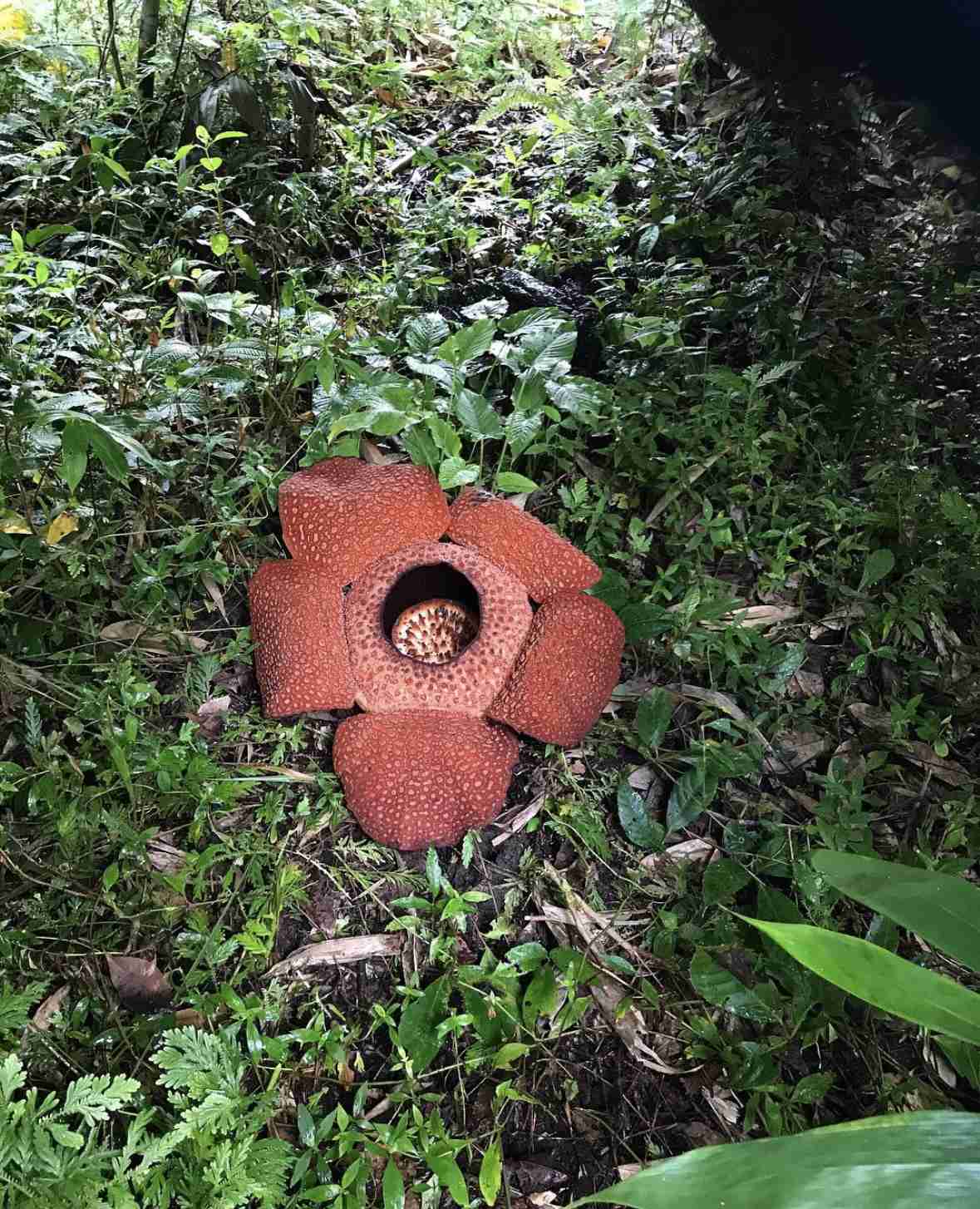 自分で撮った海外の写真を貼ってどこの国か当ててもらうトピ