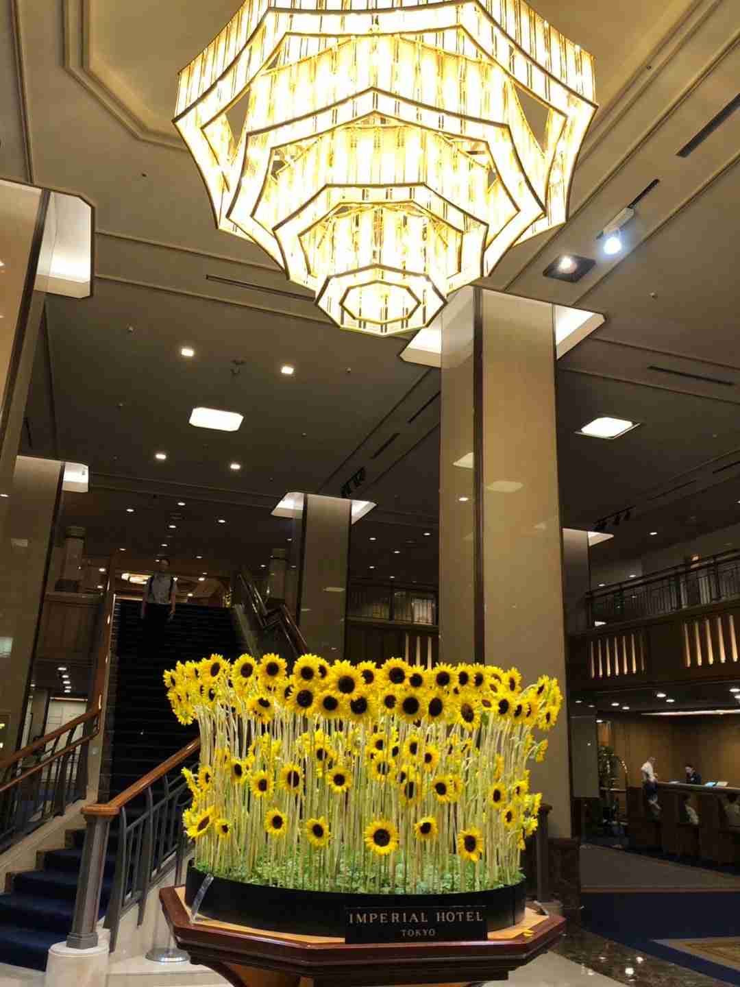 ともこ先生の夏休み | ともこ先生のブログ