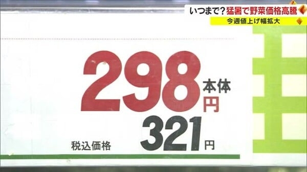 ブロッコリー１株が３２１円…消費者の財布直撃！猛暑で野菜価格高騰　いつになったら落ち着くの？【岡山】｜FNNプライムオンライン