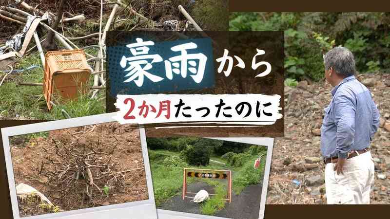 「もう半分以上がやめた」生産者がいなくなる日　繰り返す災害、ボランティアは住宅優先で畑は手つかず - RKBオンライン
