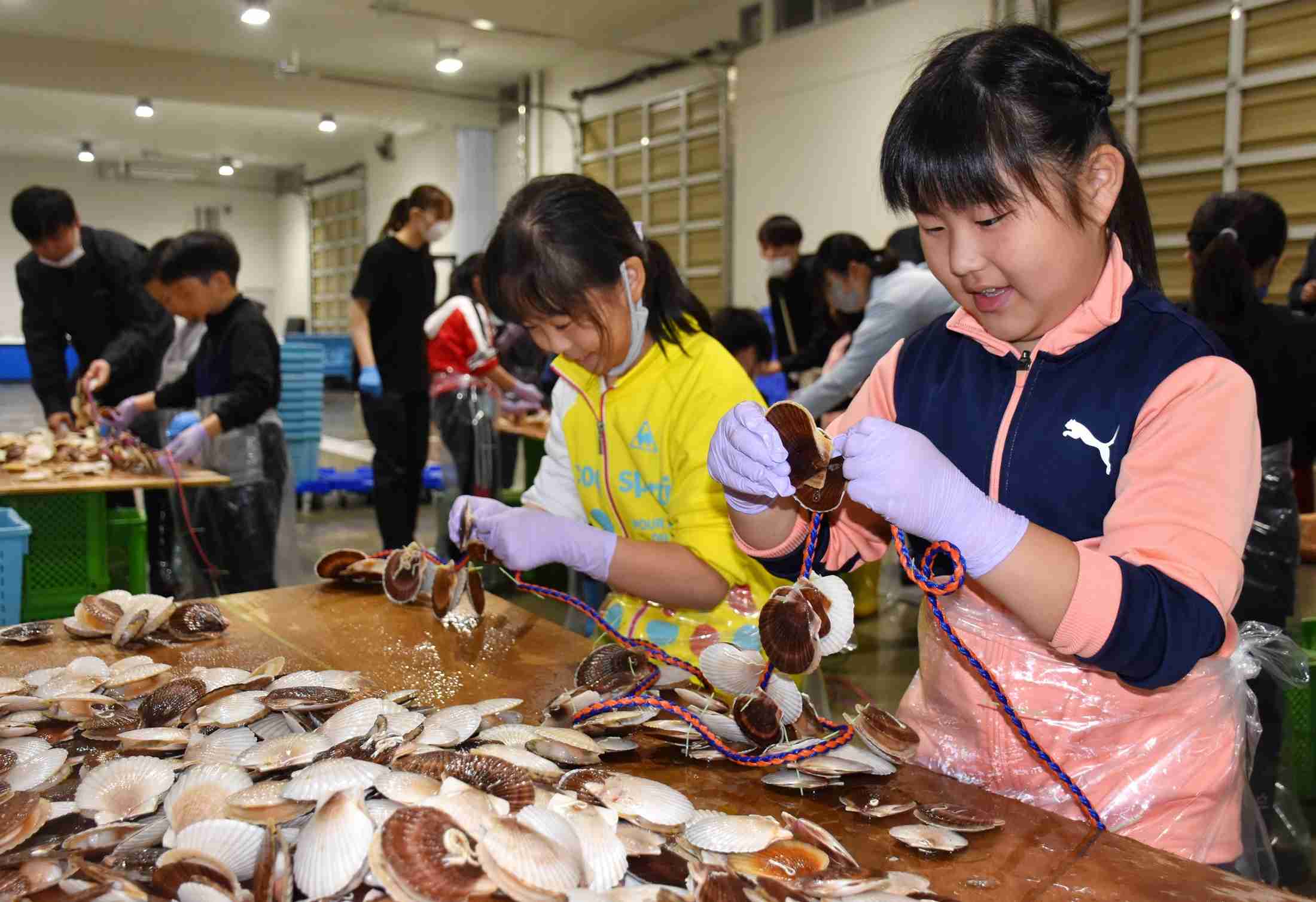 ホタテ10万食分、全国の学校給食に無償提供へ　中国の禁輸受け北海道・森町が方針（北海道新聞） - Yahoo!ニュース