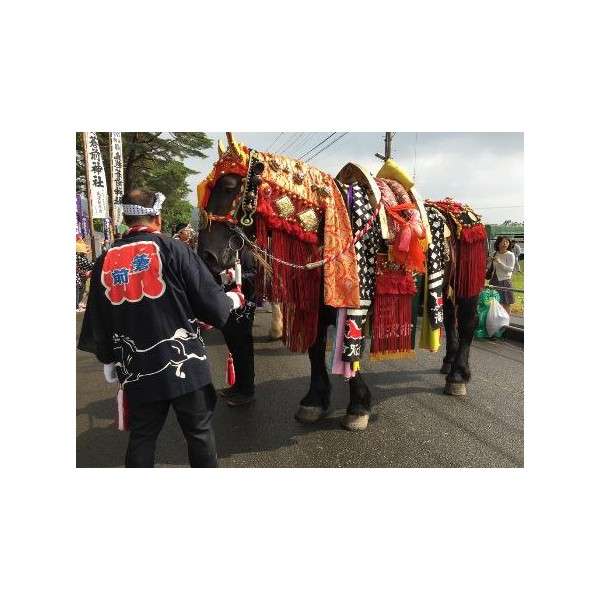 岩手県　チャグチャグ馬コ | 【公式】ばんえい十勝
