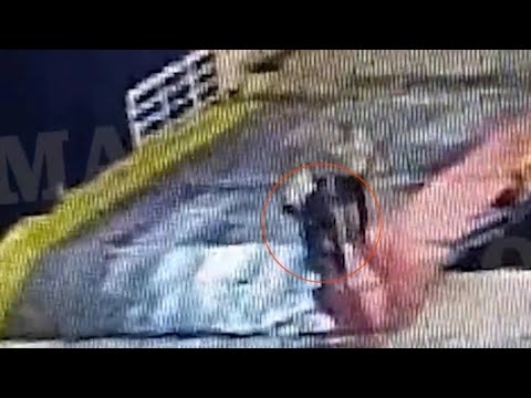 Βίντεο σοκ Το πλήρωμα έσπρωξε έξω από το πλοίο τον επιβάτη που σκοτώθηκε στο Blue Horizon - YouTube