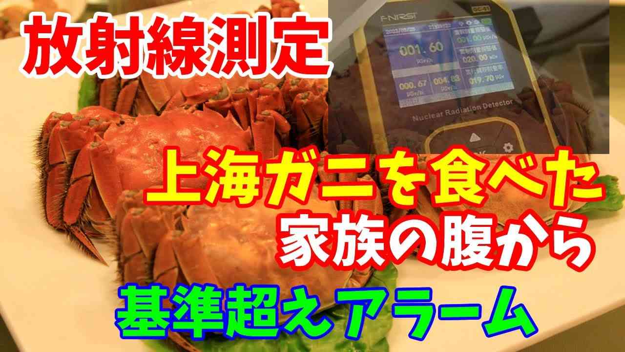 【放射線測定】中国で上海ガニを食べた家族の腹から基準超えアラーム…中国メディア「測定器の購入をやめるよう推奨」！2023／09／02 - YouTube