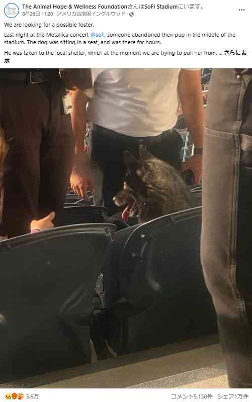 行方不明になった愛犬、ヘヴィメタル・バンドのライブ会場で見つかり飼い主も大笑い(米)