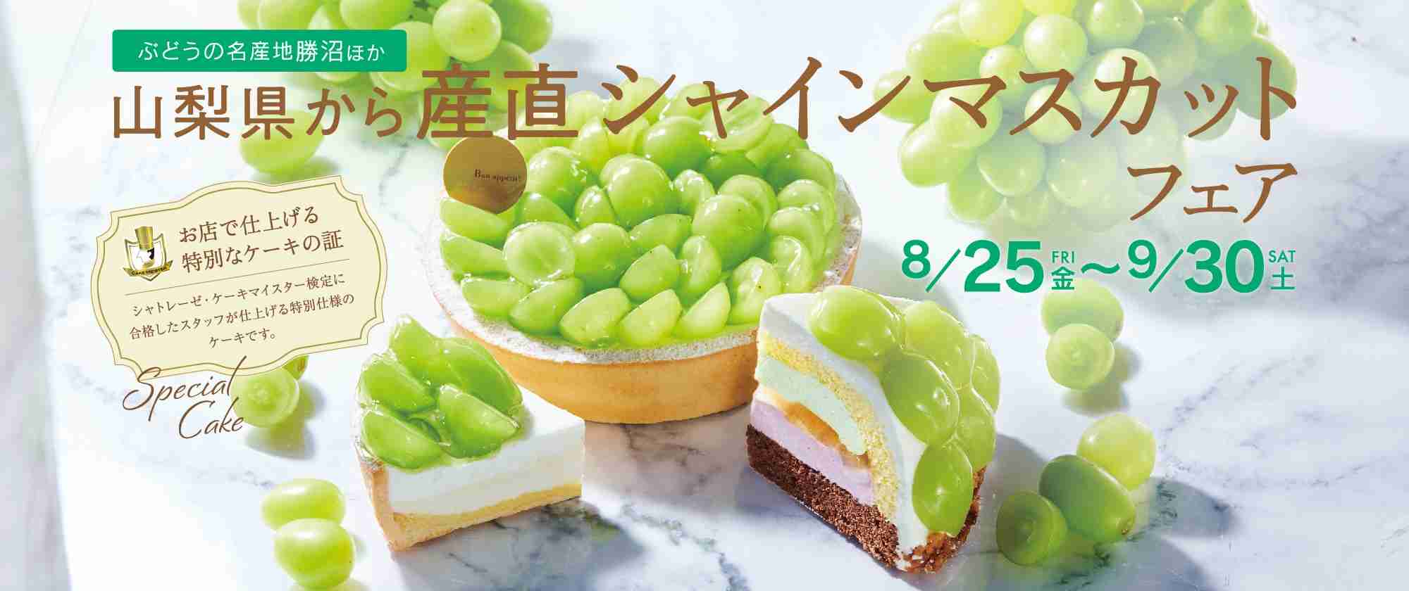 シャトレーゼが3工場追加 岡山・山形・鹿児島、生菓子生産を強化