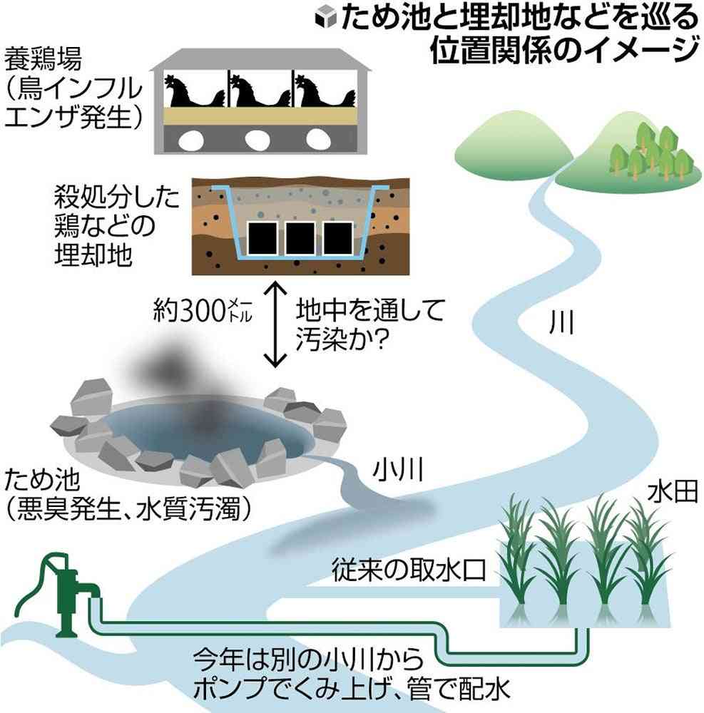 ため池から「思わず声上げる」腐敗臭、鳥インフルで41万羽埋めた穴から液体漏れ出たか