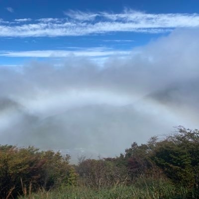 ﾑｻｵ_神託 on Twitter: 