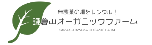 世界のエリートたちが長寿である理由。