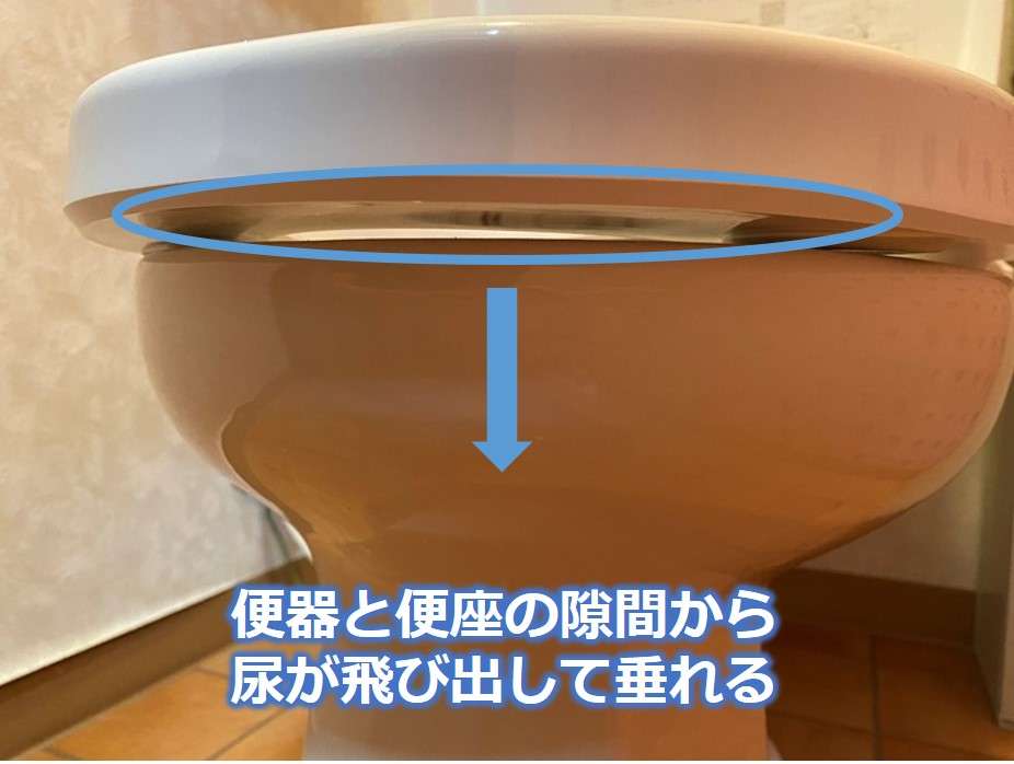 絶対に許せない？　自宅トイレで立つ男性に憤る女性も　2000人調査からみる男女の本音