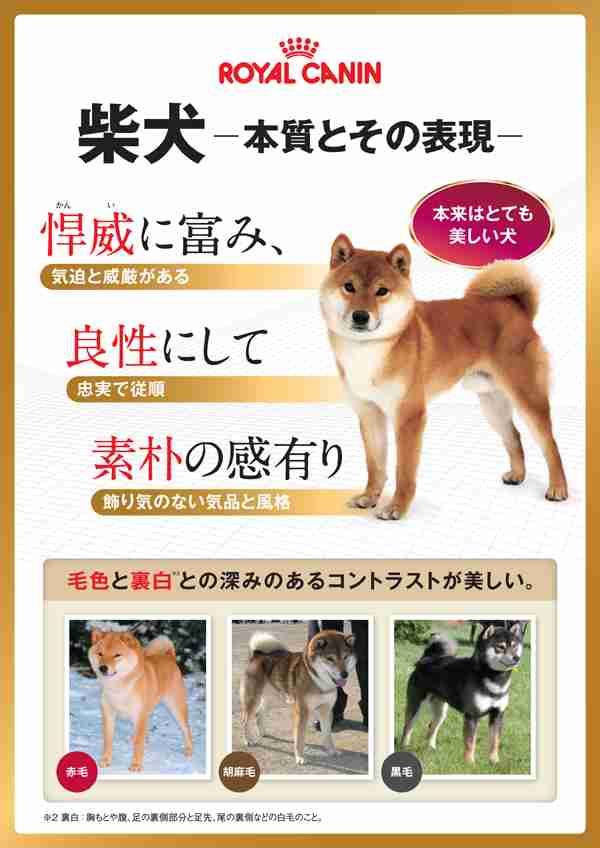世界陸上で柴犬が注目の的に! いっせいにカメラを向けられる姿に「ハリウッドスターみたい」の声