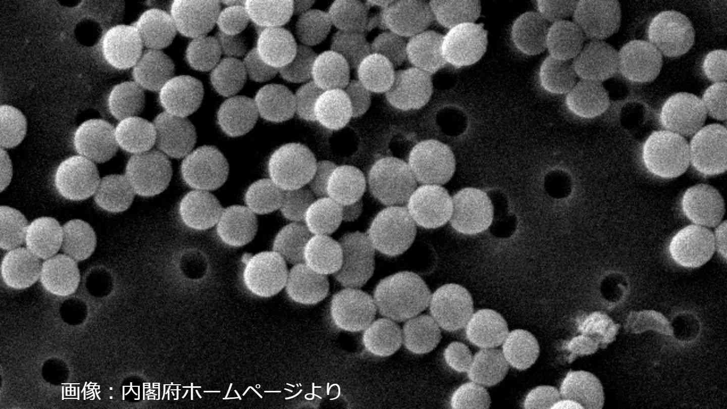自家製おにぎりを食べた13人中9人が下痢や嘔吐　黄色ブドウ球菌による食中毒症状【岡山】 | ニュース 岡山・香川 | RSK山陽放送