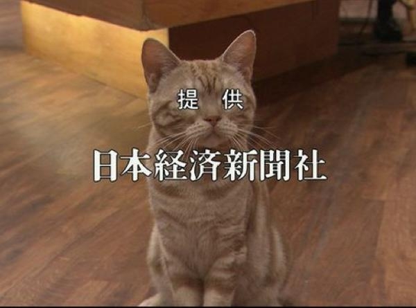「最大のミステリーを残した」NHK人気海外ドラマ 最終回で次シーズン告知も…放映日がわからず視聴者困惑